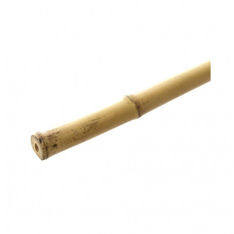 STICK PLANT SUPP 300CM D18/20 BAMB (25)