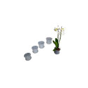Plastikust klassikaline orhideepott 16cm