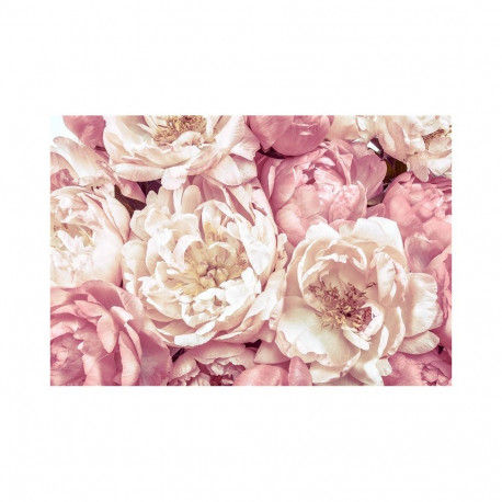 PHOTOMURAL 368X248CM XXL4-091 PEONIES