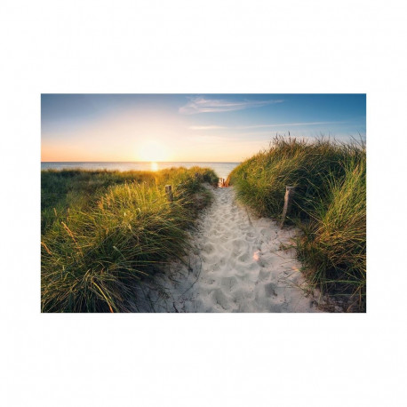 Fototapeet 368X248CM XXL4-076 Way