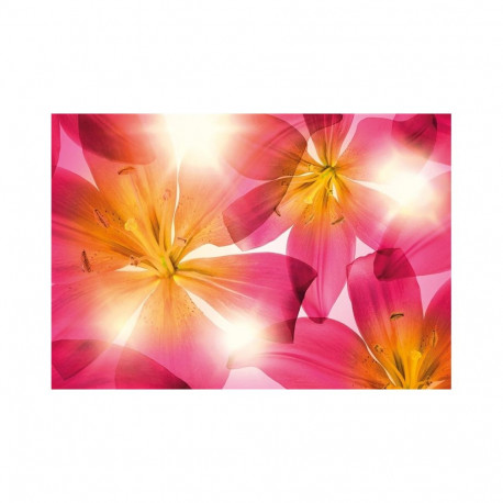 PHOTOMURAL SUMMER SUN