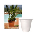 Valge plastpott TE000030 - 110