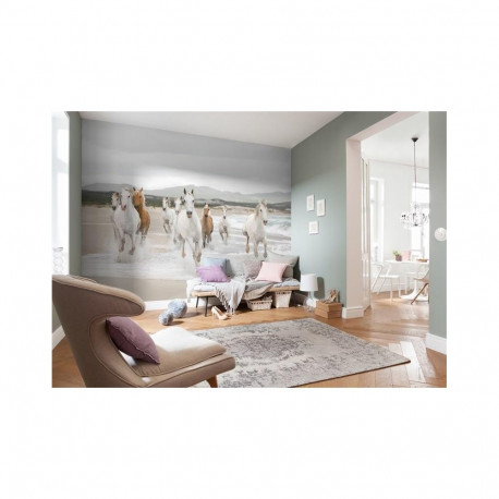 PHOTOMURALS 8-986 368X254 A(6)