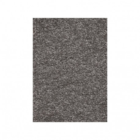 CARPETING FLORIDA 95 5M