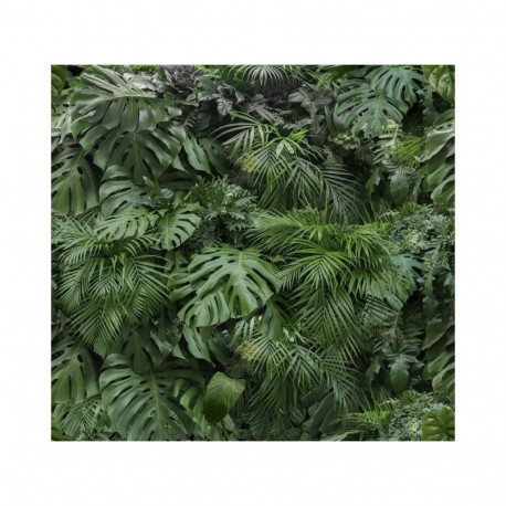 Fototapeet 119594 vihmamets