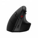 Mouse Ergonomic Wireless 920 - 6H1A4AA#ABB