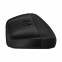 Mouse Ergonomic Wireless 920 - 6H1A4AA#ABB