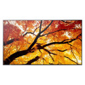 "Sharp M862 Digital Signage Display 217,2 cm 86 Zoll"