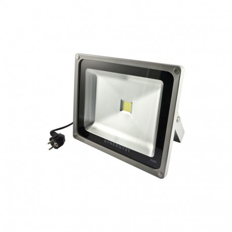 Synergy 21 LED-välisprožektor 30W hall korpus - külmvalge V2