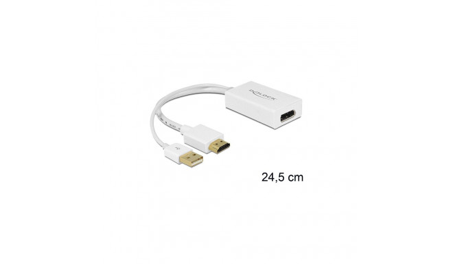 "HDMI Adapter Delock A -> Displayport St"
