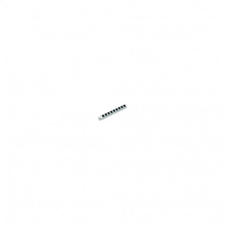 Bachmann 48,26cm 19Zoll pistikupesaliist 9 x C13 pesa ja maandusega pistikuga toitejuhe