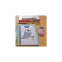 DYMO Branded LetraTag Plastic Labels | 12 mm x 4 m Roll | Black Print on Blue Labels | MultipurposeS