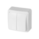 DOUBLE POLE SWITCH WHITE