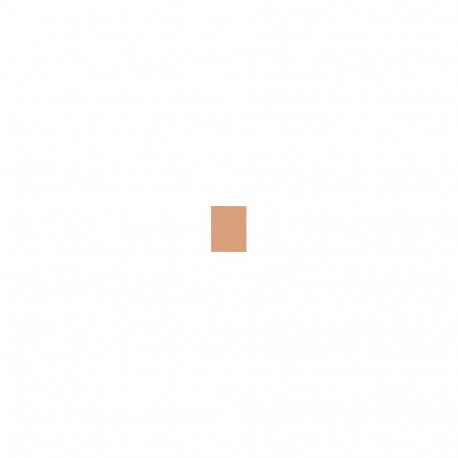 Shiseido UV Protective Compact Foundation (12ml) (Dark Ivory)