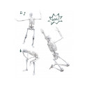 Skelett 45 cm, Buki