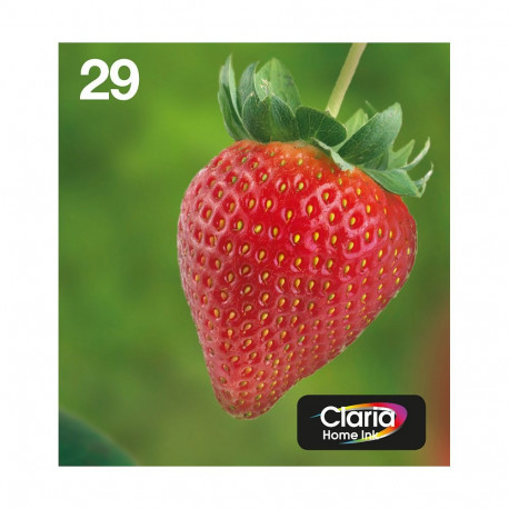 Epson 29 maasikas originaal printerikassetid, Easy Mail Packing - 4-pakk (C13T29864511)