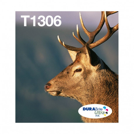 "Epson Original Easy Mail Packing T1306 Hirsch Druckerpatronen 3er Multipack C/M/Y (C13T13064510)"