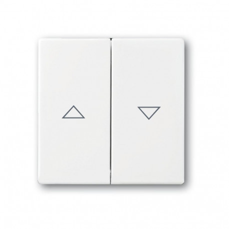 Busch-Jaeger BJ 1785 JA-84 ruloolüliti/nupu kate future linear studiovalge