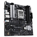 "AM5 ASUS PRIME A620M-A-CSM"
