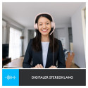 Logitech H390 roosa juhtmega USB-A peakomplekt