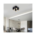 CEILING LIGHT TUNIS 4XGU10 ML9941 B/GOLD
