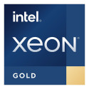 "Intel S4677 XEON GOLD 5515+ TRAY"