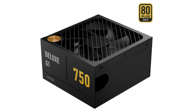 DELUXE G1 750 (schwarz, 750 Watt)