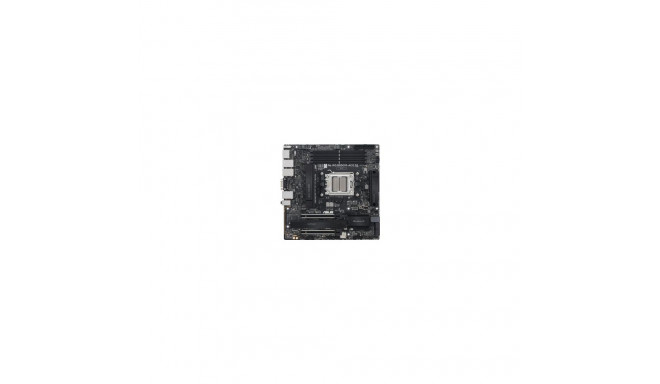 PRO WS B850M-ACE SE