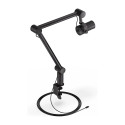 ENDORFY Solum Studio, microphone (black, 3.5 mm jack, USB)