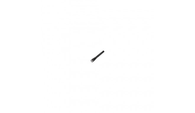 Maglite Mini-Mag LED 2AA minitaskulamp