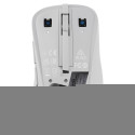 "ASUS MD102 Maus, weiß, Silent"