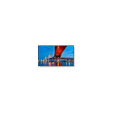 M651-2 65-tolline UHD 500CD/QM