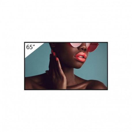 "FW-65BZ40L 65INCH PRO"