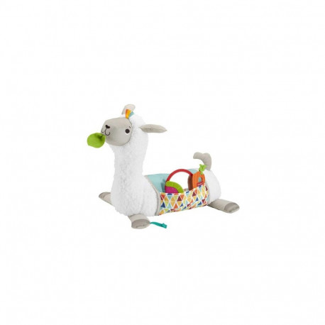Fisher-Price GHJ03 learning toy