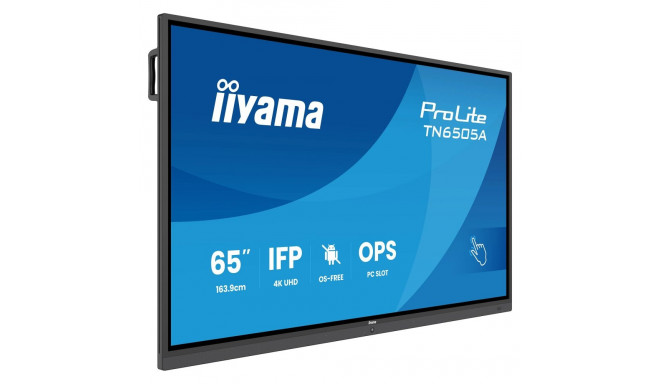 iiyama TN6505A-B1AG