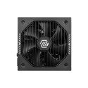 "650W MSI Netzteil MAG A650GLS PCIE5"