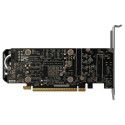 "RTX 5050 8GB Zotac LP GDDR6"