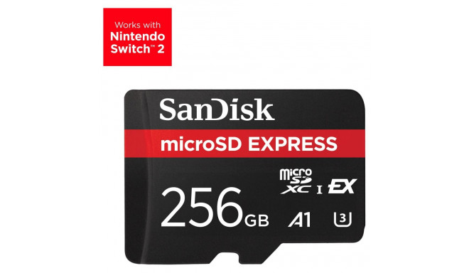 Express Micro 256GB kaart