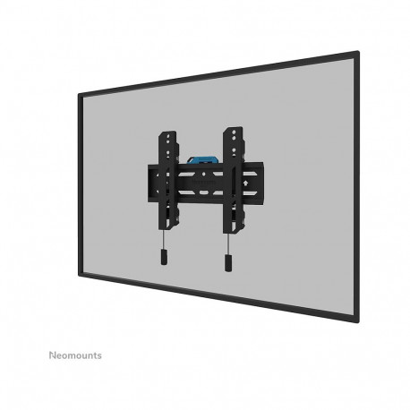 Seinakinnitus 24-55" ekraanidele 50 kg WL30S-850BL12 Neomounts