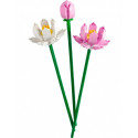 Klocki botanicals 40647 lootoseõied