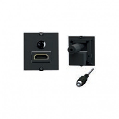 Bachmann raam 1xHDMI 90+1xMiniklinke