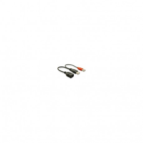 DeLock USB 2.0 (2xST-BU) 0,2m must Y-kaabel