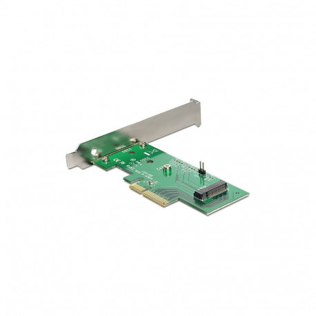 "DeLock NVMe M.2 Key M PCI Express-Karte"