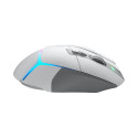 Logitech G502 X Plus valge premium EER2