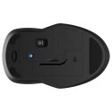 "HP 250 Maus kabellos schwarz"