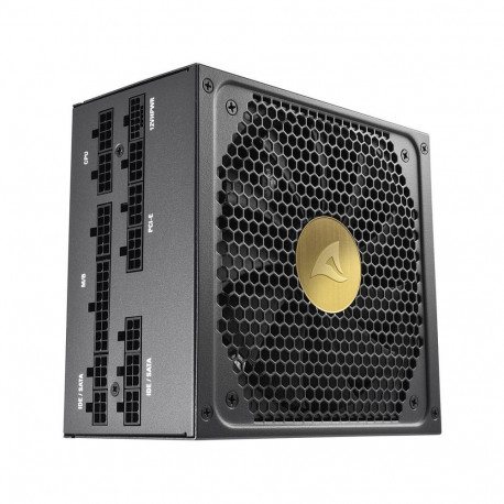 Sharkoon REBEL P30 Gold 1000W ATX3.0 must, 4x PCIe, kaablihaldus