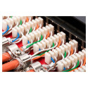 Digitus patterpaneel 1HE 12-Port Cat6A varjestatud must