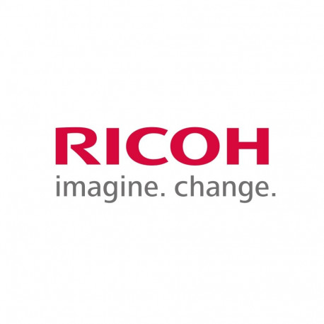 Ricoh 418754 IEEE 802.11 INTERFACE UNIT TYPE M47