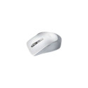 Asus | WT425 | wireless | Wireless Optical Mouse | Pearl, White