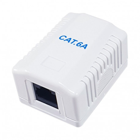 Equip pindpaigaldatav võrgupesa Cat6A 1-port RJ45 UTP